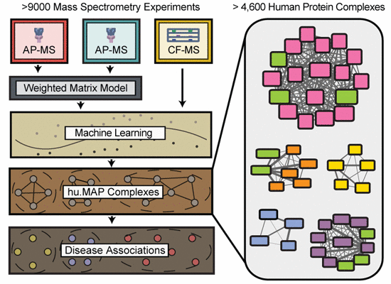 File:MM 20170628 Drew et al - graphical abstract.gif