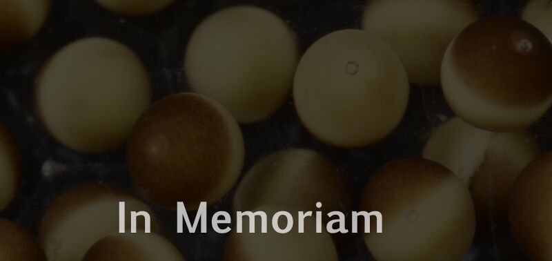 File:MM 20201216 In Memoriam - slider.jpg