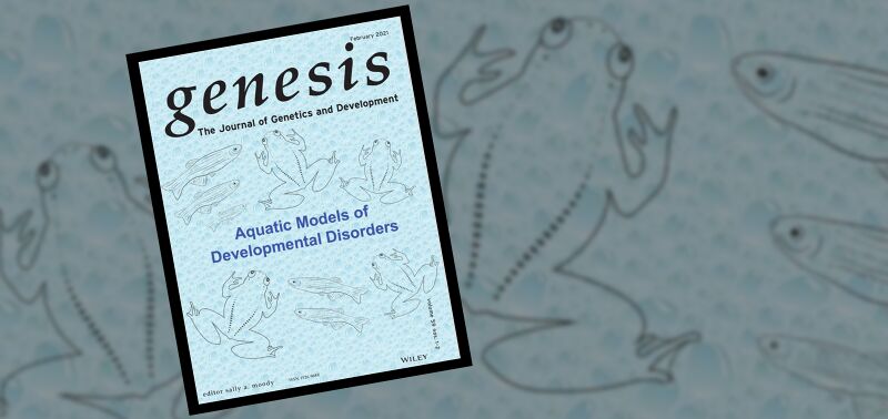 File:MM 20210304 genesis aquatic models special issue - slider.jpg