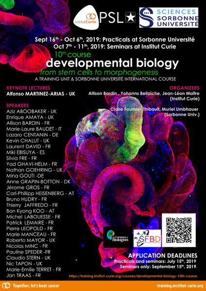 File:MM 20190621 10th course developmental biology insitut curie - poster.jpg