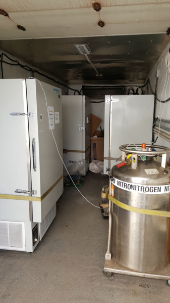 File:Freezer truck inside.png