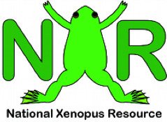 File:NXR icon.png