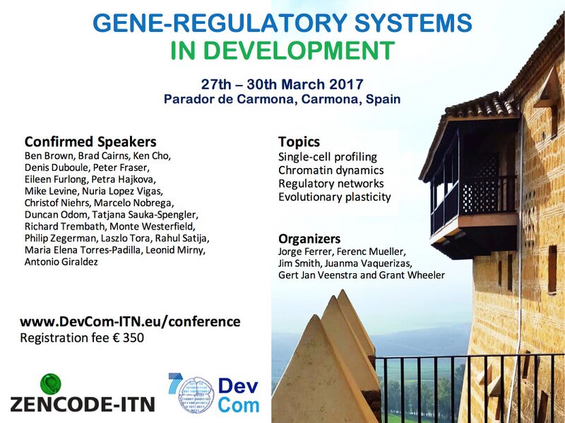 File:MM gene regulatory systems in development poster.jpg